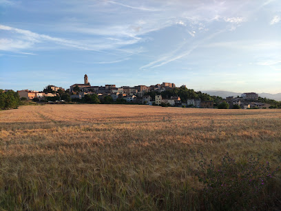 CARLANIA CELLER en Barberà de la Conca. Bodega
