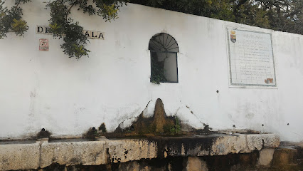 Fuente de la Salada en Alcalá de los Gazules. Lugar de interés histórico