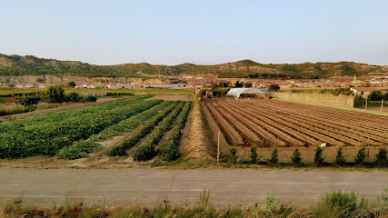 Huerta Valtierra en Valtierra. Huerto
