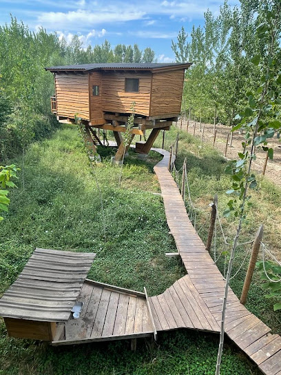 Durmiendo entre árboles en Anguciana. Casa rural