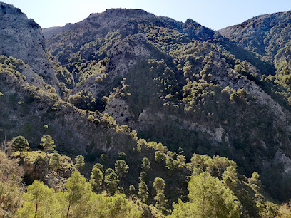Ruta botánica Sierra Tejeda en Alcaucín. Zona de senderismo
