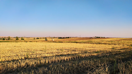 Granja los Combos en Móstoles. Granja