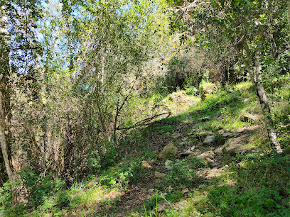 Barranco de Los Laureles en Escacena del Campo. Reserva natural