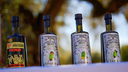 Pobill Ecològics en Cálig. Empresa de embotellado de aceite de oliva