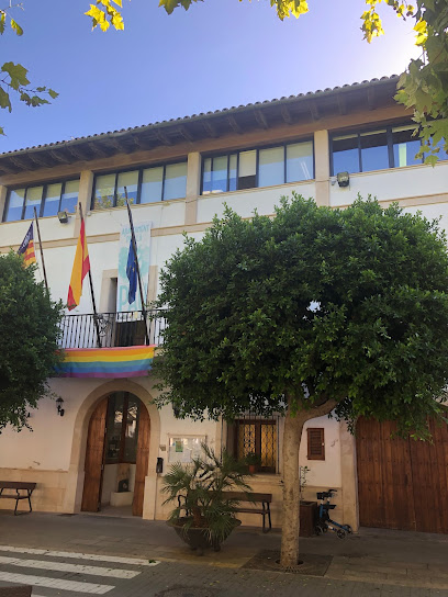 Ayuntamiento de Maria de la Salud en María de la Salud. Ayuntamiento
