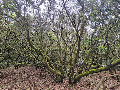Zona recreativa Laguna Grande en Vallehermoso. Parque ecológico