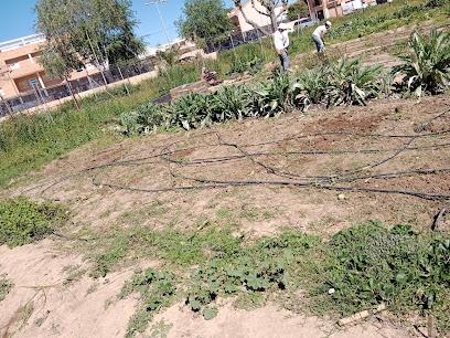 Horts Tomba l'Olla en Meliana. Huerto