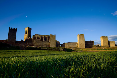 Cerco de Artajona/ Rutas Vivamus en Artajona. Iglesia