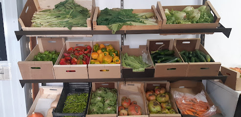 El Puente Viejo | Cestas Ecológicas de Verdura y Fruta Online en Caparroso. Tienda de alimentos orgánicos