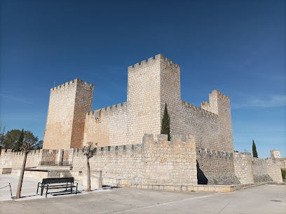 Castillo de Encinas de Esgueva en Encinas de Esgueva. Castillo
