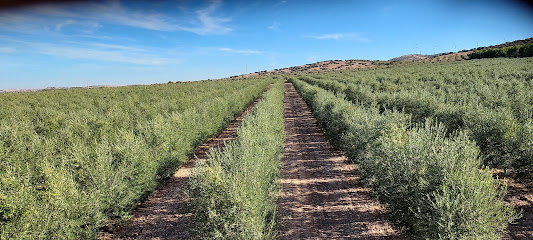 Finca La Messada en Tembleque. Oficinas de empresa