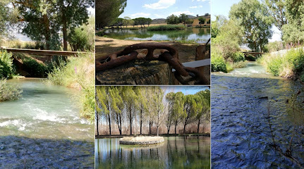 Truchas de La Alcarria S. L. en Valderrebollo. Tienda de artículos de pesca