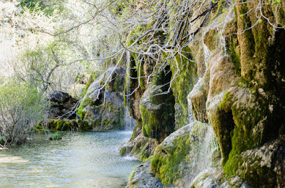 Monumento Natural del Nacimiento del Río Cuervo en Vega del Codorno. Reserva natural