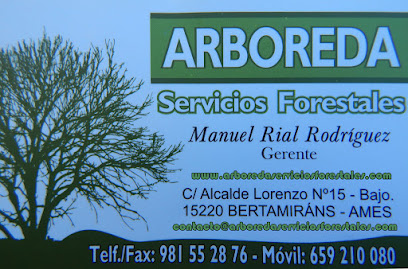 Arboreda Servicios Forestales en Bertamiráns. Establecimiento de venta de madera