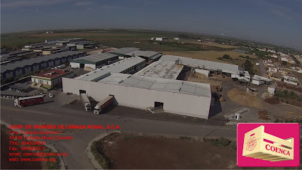 Cooperativa de Envases Cañada Rosal S.C.A. (COENCA) en Cañada Rosal. Fábrica