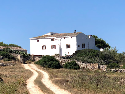 Finca Es Tudons - Agricultura Ecològica en Tudons. Granja