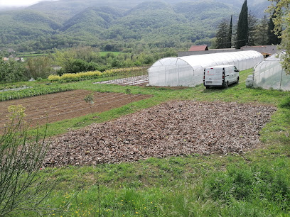L'Aixadell en Les Planes d'Hostoles. Huerto