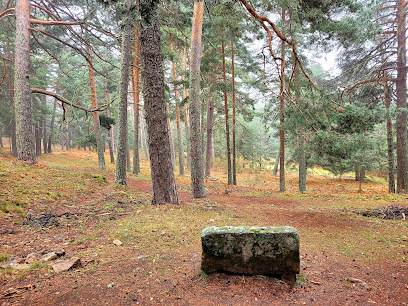 Senda del Pinar de Navarredonda en Navarredonda de Gredos. Zona de senderismo