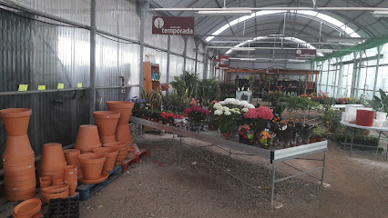 Natura Vivers en Puzol. Centro de jardinería