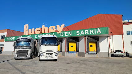 Cooperativa Agrícola de Callosa d'en Sarria en Callosa de Ensarriá. Mayorista de frutas y hortalizas