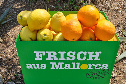 Fet a Sóller SL Mallorca Online Shop en Sóller. Proveedor mayorista de alimentos