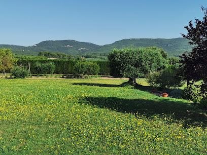 MOIÓ MELMELADES en Fontrubí. Tienda de alimentos naturales