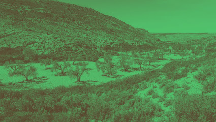 Apadrinaunolivo.org en Oliete. Almazara