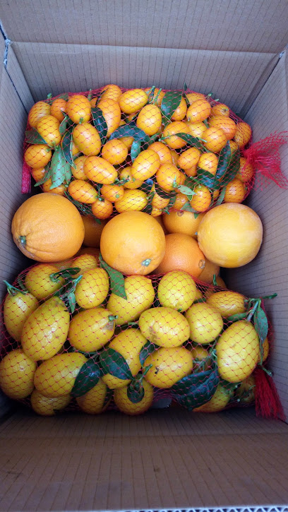 Naranjas y Cítricos Gourmet en Alcanar. Tienda de delicatessen
