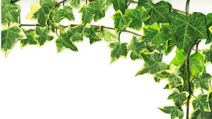 Herbolario Hedera Belardenda en Huarte. Herbolario