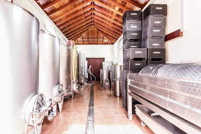 Bodegas Tagalguen - Garafía La Palma en Santo Domingo. Vinoteca