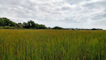 Parc Agroecològic de l’Hort de la Sínia en Tarragona. Huerto