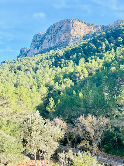 Bunyola