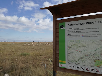 Cañada Real Burgalesa en Tórtoles de Esgueva. Parque ecológico