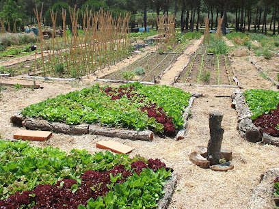 Hort slow en Sant Martí de Llémena. Consultora medioambiental
