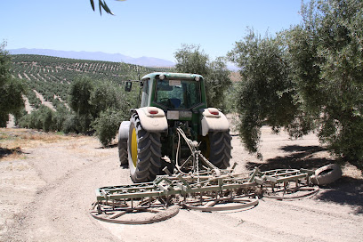 Tareas Agrícolas en Torreperogil en Torreperogil. Agencia inmobiliaria