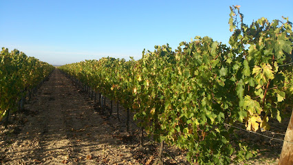 Bodega Verderrubi en Rubí de Bracamonte. Bodega