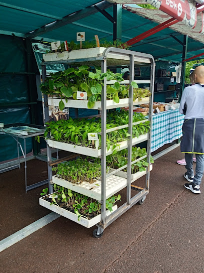 Biolandare Hazitegi EKOLOGIKOA en Gámiz. Vivero
