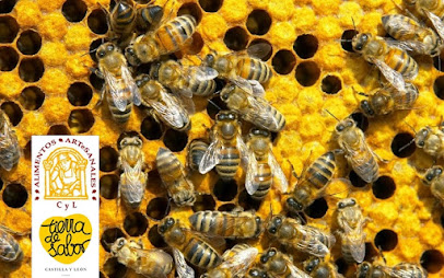 Abeja Burgalesa en Burgos. Apicultor