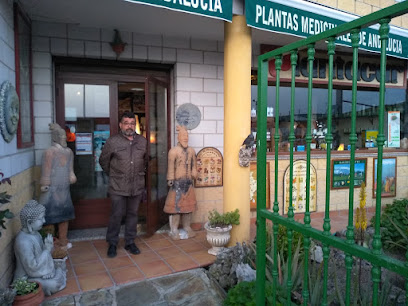 Plantas Medicinales De Andalucía en Ibros. Herbolario