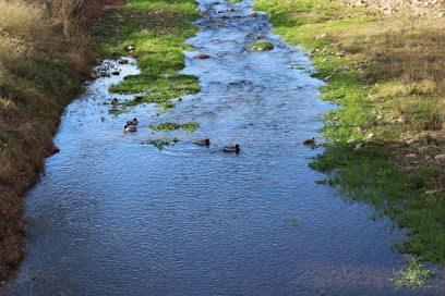Rio Cidacos en Autol. Parque ecológico