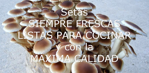 Setas Pilar en Casasimarro. Tienda de alimentos naturales