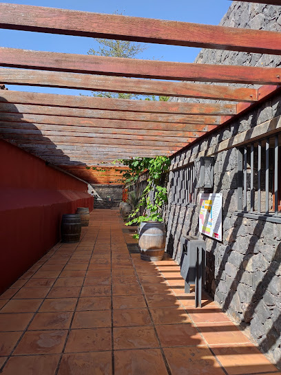 Miel de Tenerife en El Sauzal. Apicultor