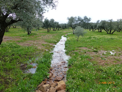 Pago Piedrabuena