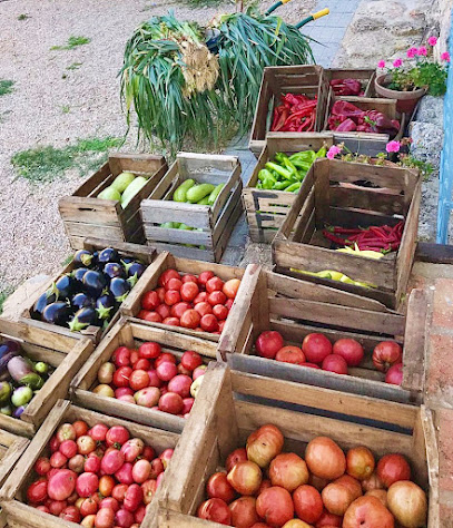 Ecocampo en Albacete. Procesamiento de frutas y verduras