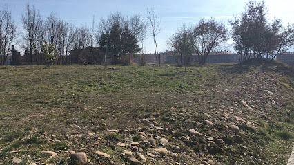 parque de la Constitución en Medina de Pomar. Parque ecológico