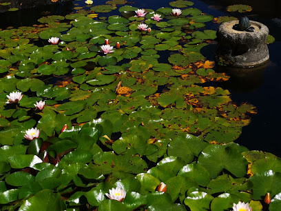 Jardin Casa de las flores en Real Sitio de San Ildefonso. Jardín botánico