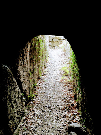 Cova da Moura en Barbantes. Conservación del patrimonio