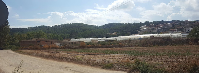 Hortícola Vila SL en Bigues i Riells. Huerto