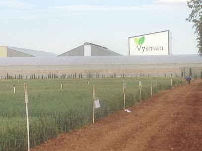 Viveros y Semilleros de la Mancha - VYSMAN en Cinco Casas. Vivero