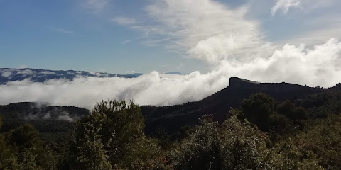 El Pino Verde en La Pobla de Mafumet. Servicio de aromaterapia